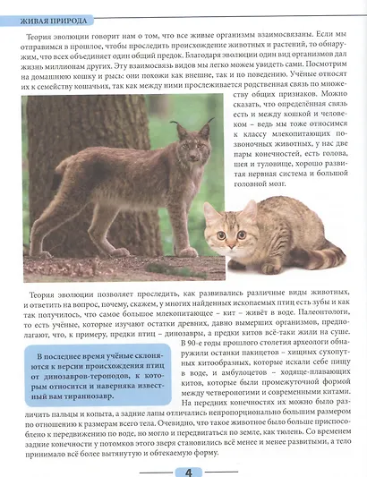 Живая природа - фото 5