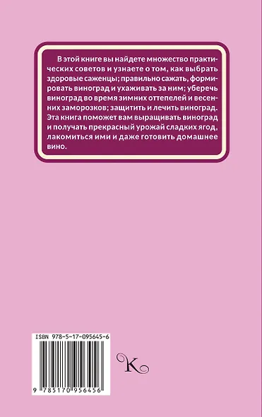 Виноград, малина, смородина, крыжовник и другие ягоды - фото 2