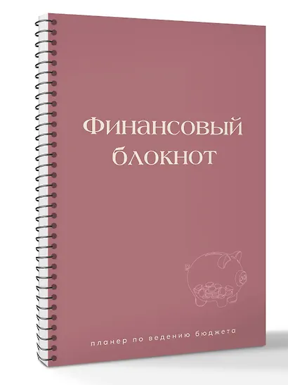 Финансовый блокнот. Планер по ведению бюджета - фото 3