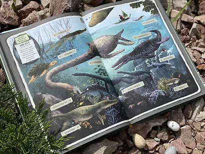 Динозавры. Моя первая книга - фото 10