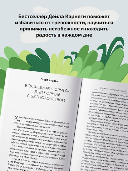 Как перестать беспокоиться и начать жить - фото 5