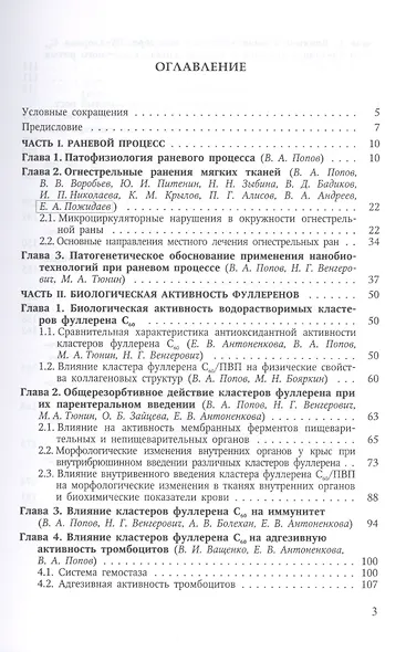 Раневой процесс: нанобиотехнологии оптимизации - фото 2