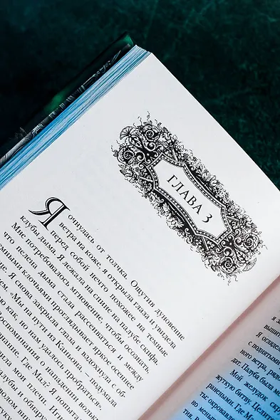 Тень и кость - фото 9