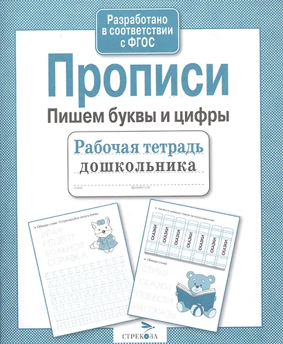 Рабочая тетрадь дошкольника. Прописи. Пишем буквы и цифры - фото 3