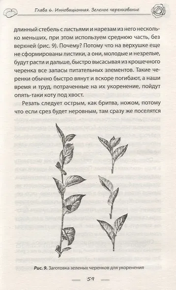 Как обустроить сад и зарабатывать на нем - фото 6