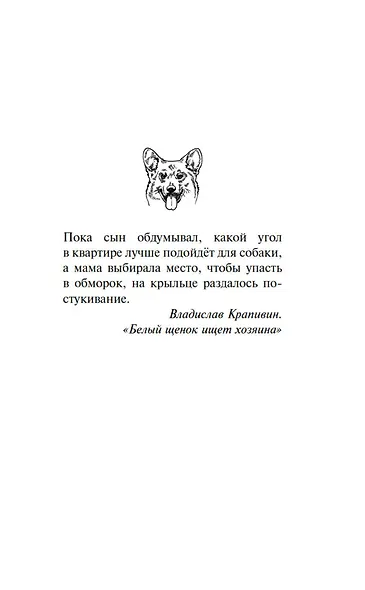 Умница. Корги ведёт расследование - фото 13
