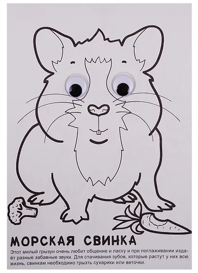 РАСКРАСКА А4 с глазками 22мм. ДОМАШНИЕ ЛЮБИМЦЫ - фото 5