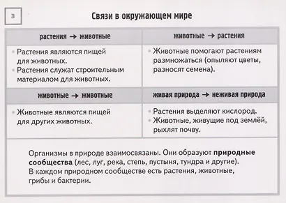 Окружающий мир. 1-4 классы. Карточки-шпаргалки (32 карточки) - фото 4