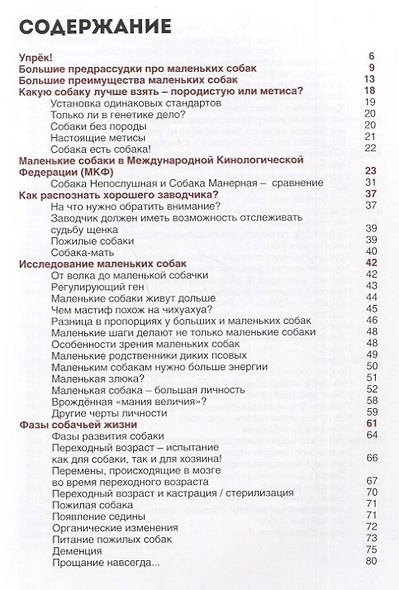 Маленькие собаки - большое чудо - фото 2