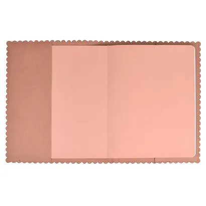 Дневник шк. "Заячьи ушки" кожзам, мягк.переплёт, съёмная обложка, аппликация, тиснение фольгой, одно ляссе, загругл.углы, пантон, универс.шпаргалка - фото 3