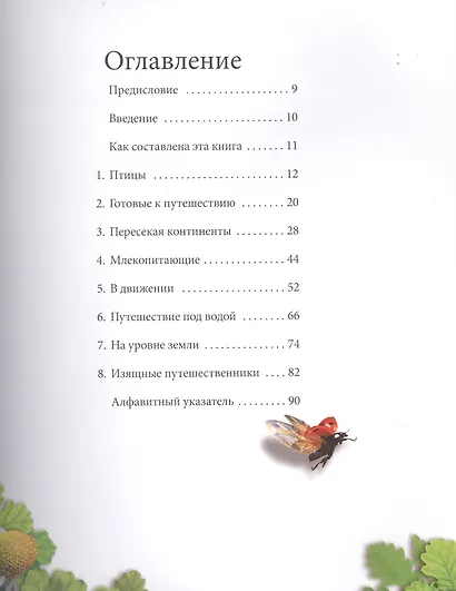 Удивительные миграции в природе - фото 2