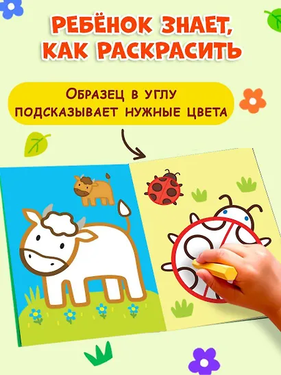Раскраска с цветным контуром (Петух) - фото 6