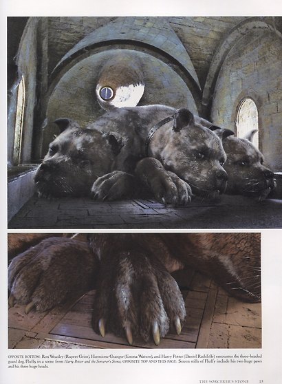 Harry Potter. Film Vault. Volume 3. Horcruxes and the Deathly Hallows - фото 5