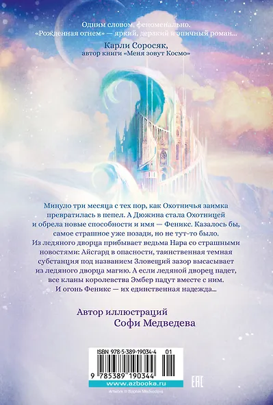 Рожденная огнем. Книга 2. Феникс и ледяной дворец - фото 2
