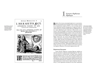 Крест, увитый розами: История, символы и традиции ордена розенкрейцеров - фото 11