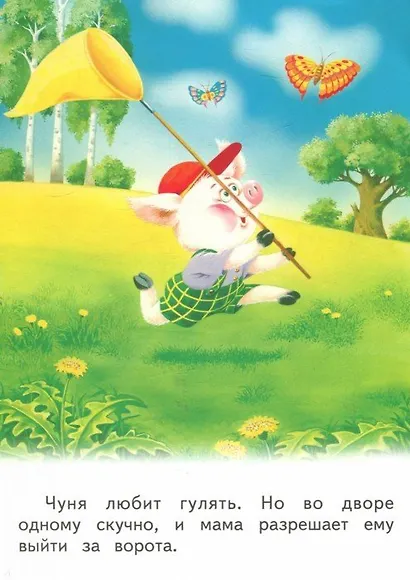 Поросёнок Чуня - фото 2