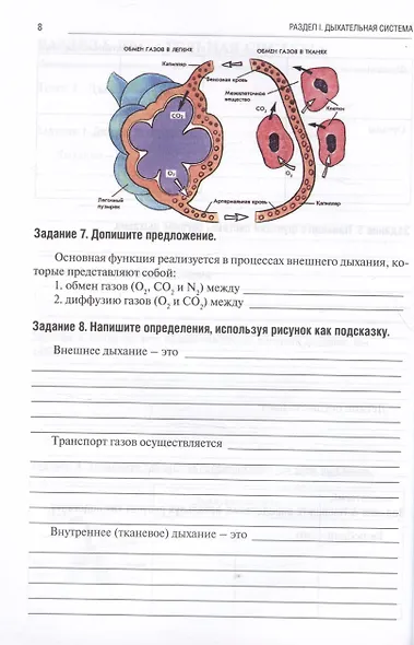 Анатомия человека. Спланхнология. Часть 5. Дыхательная система. Мочевыделительная система. Половая система. Тетрадь-практикум - фото 4