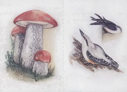 Четыре сезона. Лето. Развивающая игра для дошкольников и младших школьников - фото 5