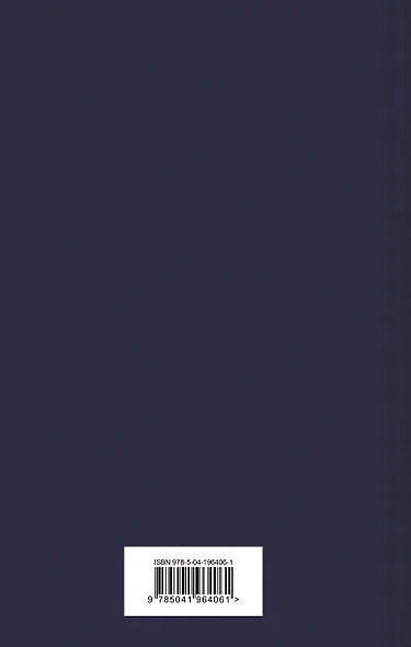 Пятнадцатилетний капитан - фото 2