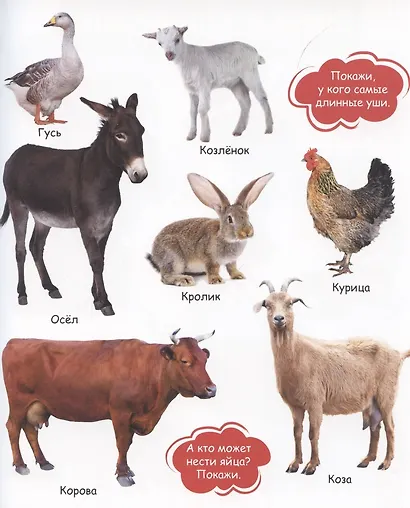 Мои любимые животные - фото 5