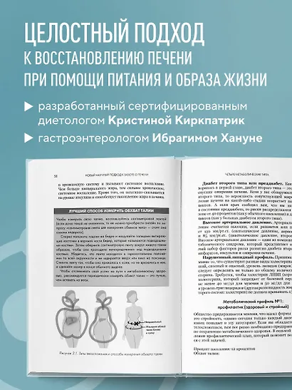 Минус висцералка. Программа, которая поможет растопить жир вокруг сердца, печени и почек - фото 5
