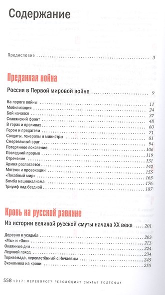 Переворот Революция Смута Голгофа (Разумовский) - фото 2