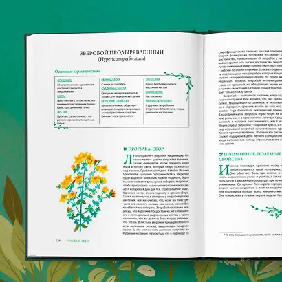 Гримуар травницы. Иллюстрированный справочник по сбору, заготовкам и полезным свойствам дикорастущих растений - фото 10