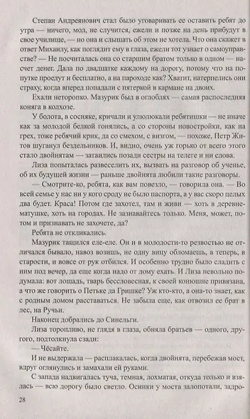 Братья и сестры : роман в 4х кн. Пути-перепутья. Кн.третья. Дом. Кн. четвертая - фото 3