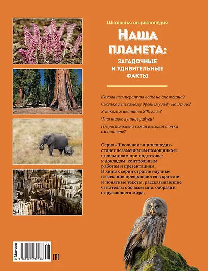 Наша планета: загадочные и удивительные факты - фото 2