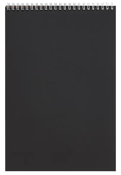 Скетчбук А4 20л "Смешарики" черн. внутр блок, 200г/м2, тв.обложка, спираль - фото 2