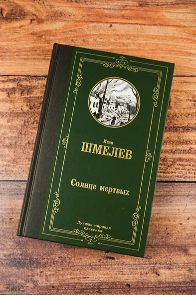 Солнце мертвых - фото 5