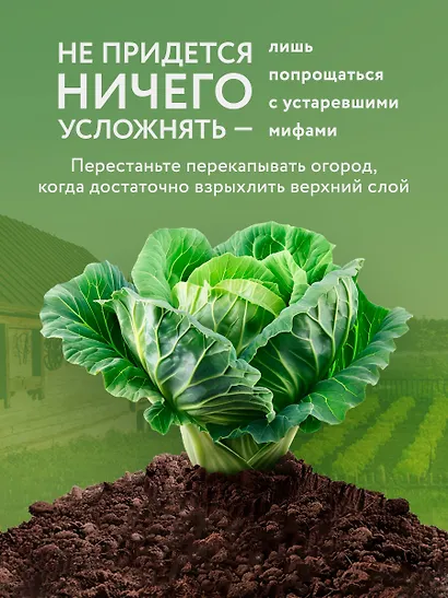 Секреты дачных агрономов. Как перестать "пахать" и начать получать удовольствие от дачи - фото 7