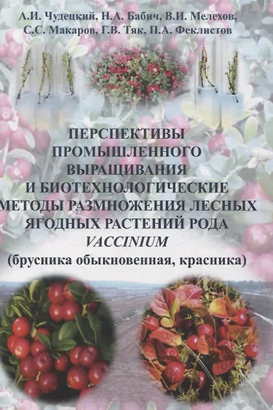 Перспективы промышленного выращивания и биотехнологические методы размножения лесных ягодных растений рода Vaccinium (брусника обыкновенная красника) - фото 1