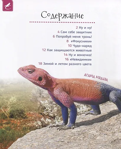 Удивительные животные (Первая энциклопедия) - фото 2