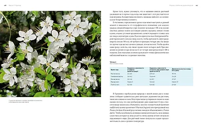 Цветы. Естественная история - фото 8