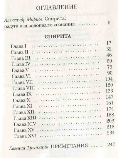 Спирита - фото 2