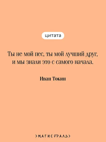 Пес - фото 6
