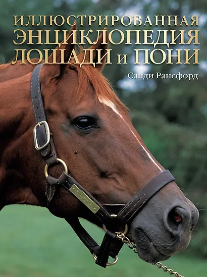 Лошади и пони: Иллюстрированная энциклопедия - фото 1