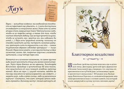 Магические животные. Легенды и суеверия - фото 11