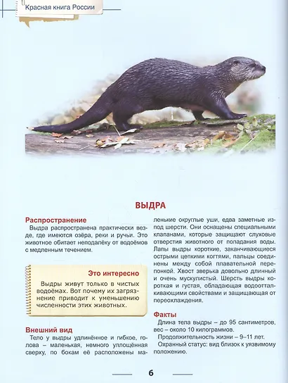 Энциклопедия для детей красная книга россии - фото 5