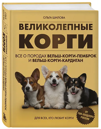 Великолепные корги. Все о породах вельш-корги-пемброк и вельш-корги-кардиган - фото 3