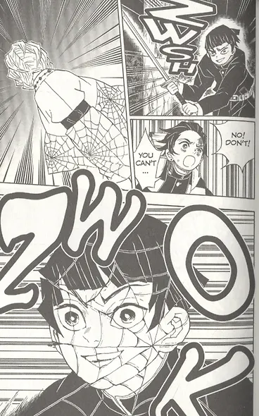 Demon Slayer: Kimetsu no Yaiba. Vol. 5 - фото 2