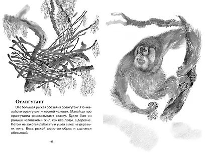 Друзья - фото 13