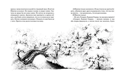 Братья Львиное Сердце - фото 5