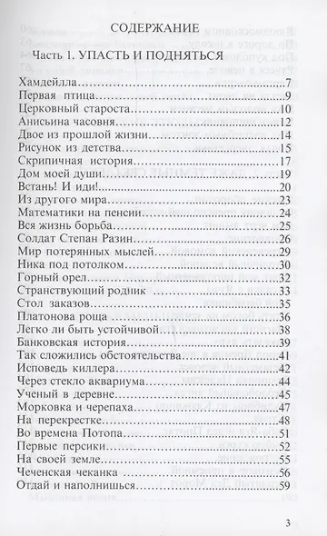 Всполохи будней наших.Сборник литературных этюдов. - фото 2