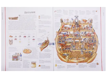 Жизнь на корабле. Чудесные сечения - фото 5