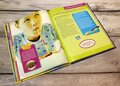 Большая энциклопедия. Тело человека - фото 6