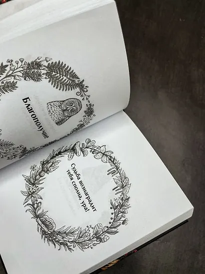 Ответы мудрой совы - фото 5