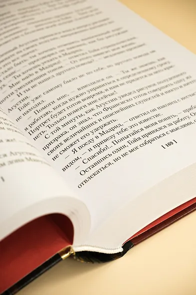 Гойя, или Тернистый путь познания - фото 11