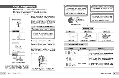 Биология - фото 10